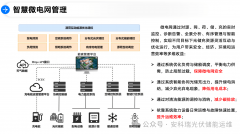系统可及时监测光伏、风电等可再生能源发电环