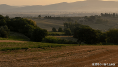 <b>实施现代设业成长贷款贴息政策？</b>